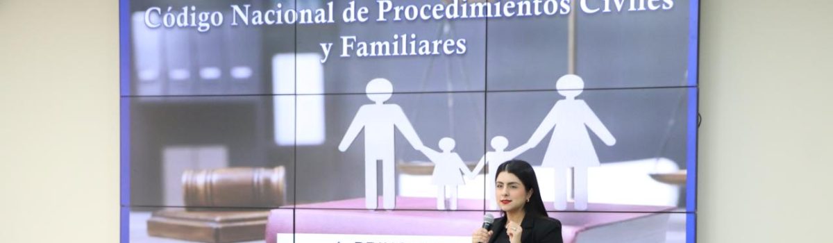 Abogadas Violetas se actualizan sobre el nuevo Código Nacional de Procedimientos Civiles y Familiares