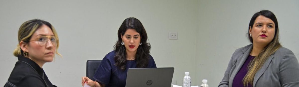 Se da seguimiento a la AVGM en Sinaloa con el GIM en su XXV Sesión Ordinaria